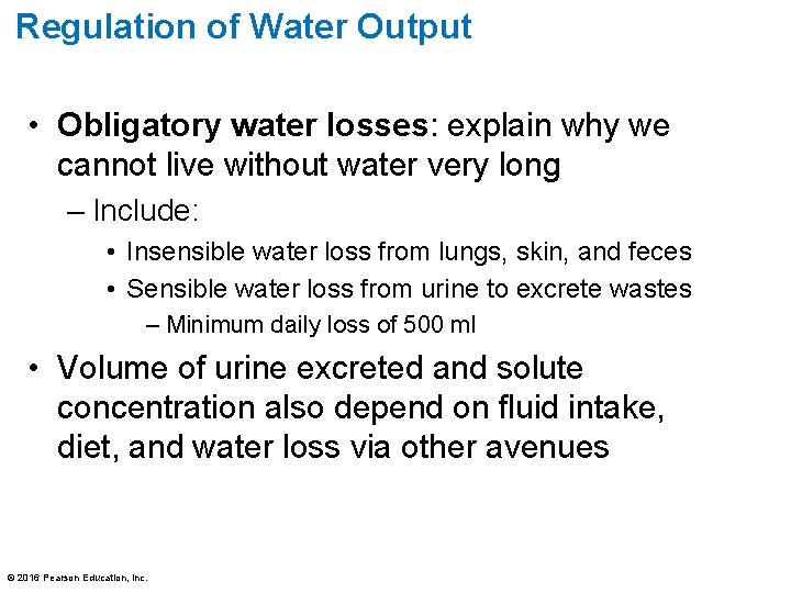 Regulation of Water Output • Obligatory water losses: explain why we cannot live without