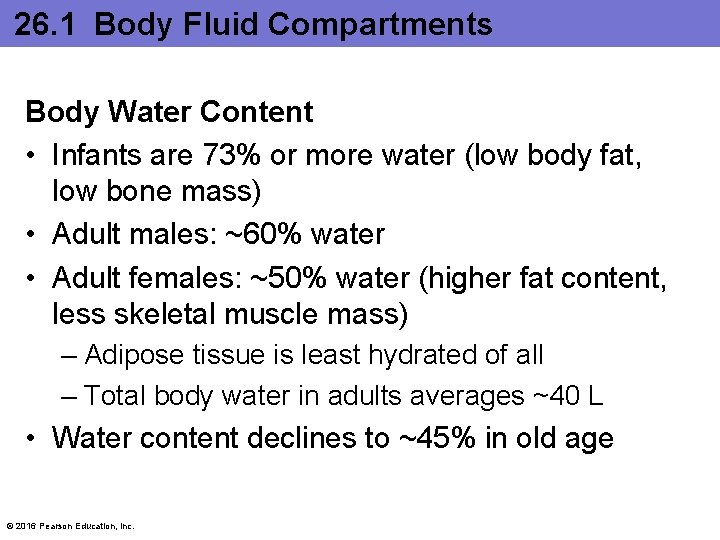 26. 1 Body Fluid Compartments Body Water Content • Infants are 73% or more