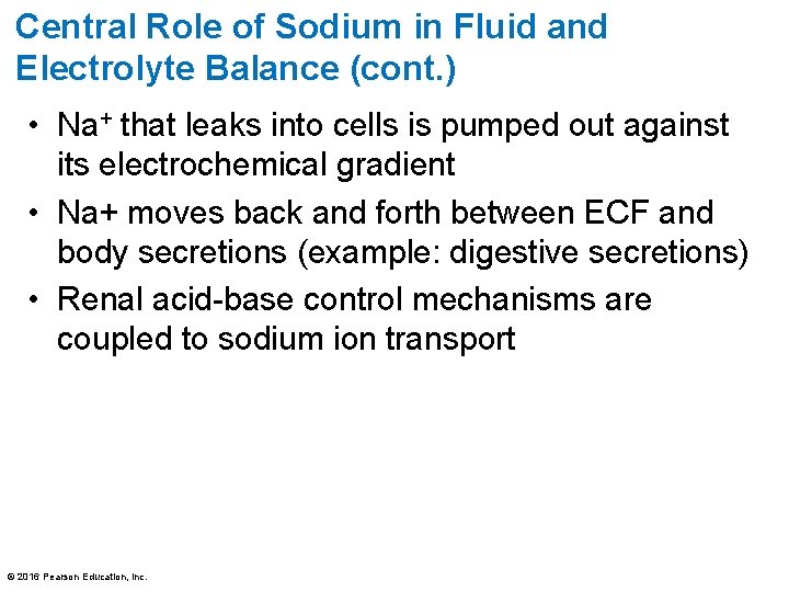 Central Role of Sodium in Fluid and Electrolyte Balance (cont. ) • Na+ that