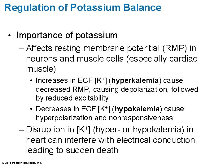 Regulation of Potassium Balance • Importance of potassium – Affects resting membrane potential (RMP)