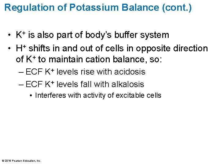 Regulation of Potassium Balance (cont. ) • K+ is also part of body’s buffer