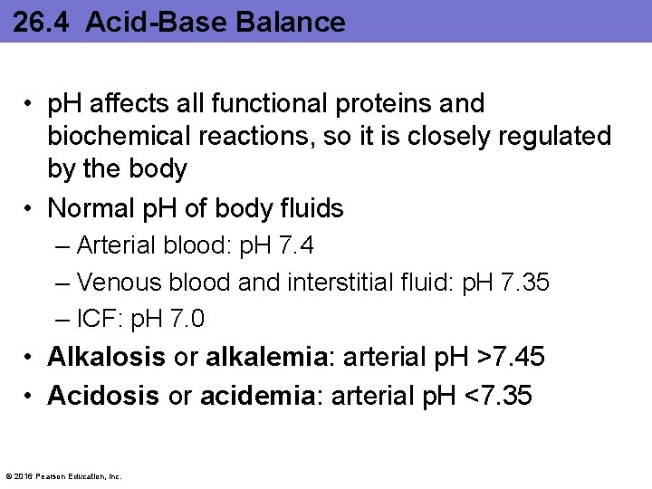 26. 4 Acid-Base Balance • p. H affects all functional proteins and biochemical reactions,