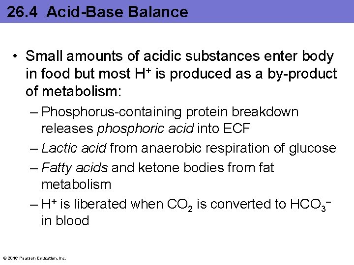 26. 4 Acid-Base Balance • Small amounts of acidic substances enter body in food