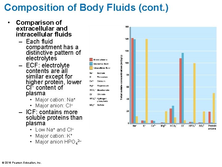 Composition of Body Fluids (cont. ) • Comparison of extracellular and intracellular fluids –