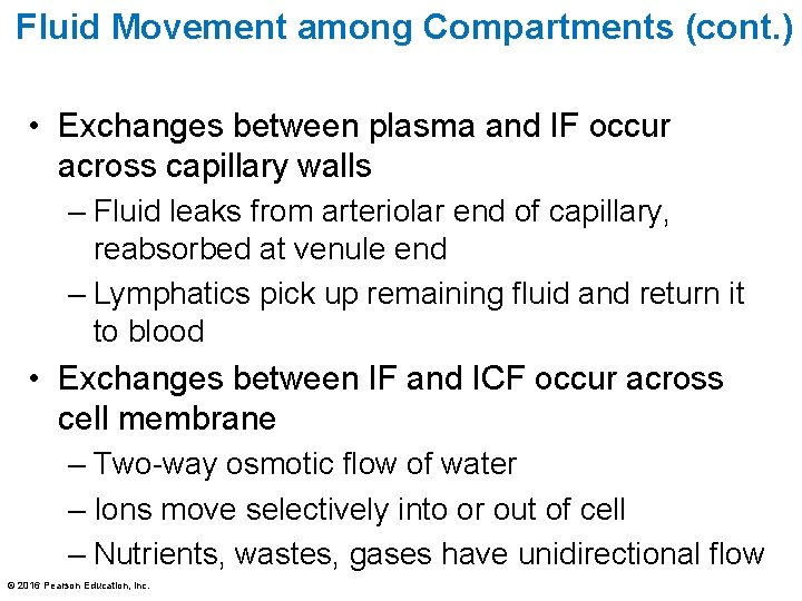 Fluid Movement among Compartments (cont. ) • Exchanges between plasma and IF occur across