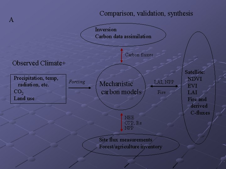 Comparison, validation, synthesis A Inversion Carbon data assimilation Carbon fluxes Observed Climate+ Precipitation, temp,