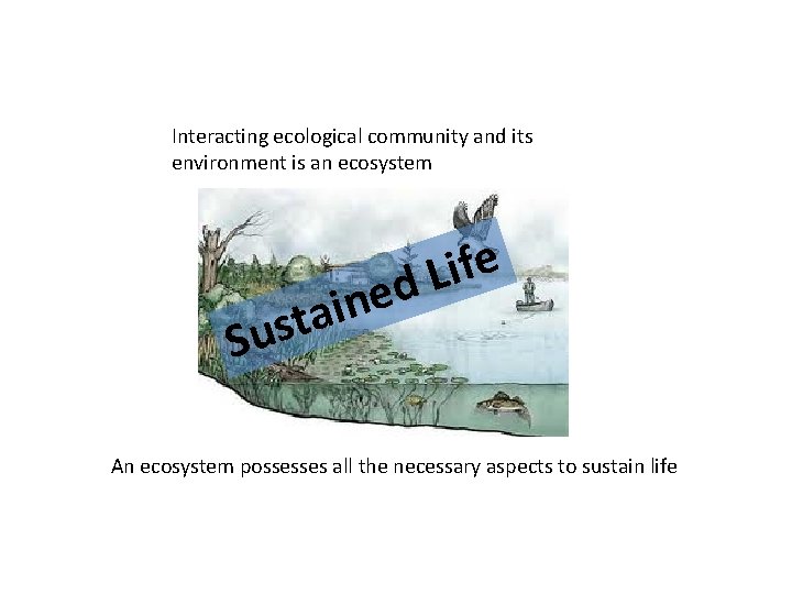 Interacting ecological community and its environment is an ecosystem e f i L d