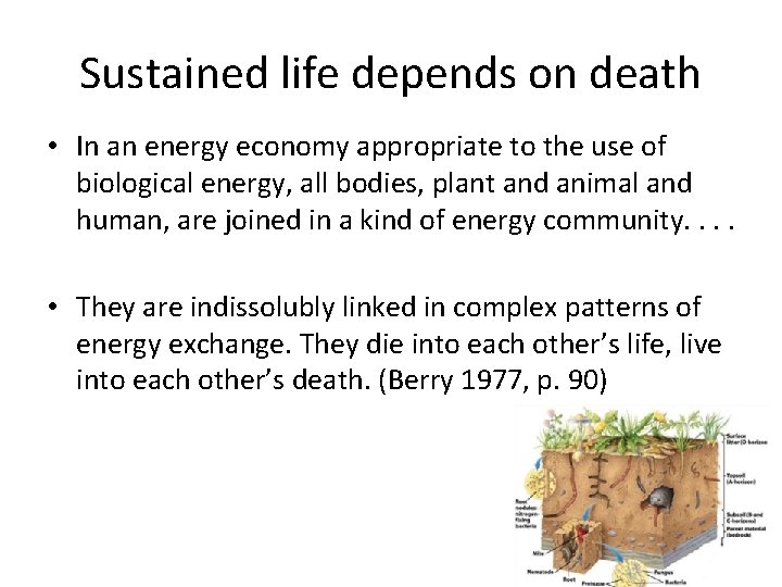 Sustained life depends on death • In an energy economy appropriate to the use