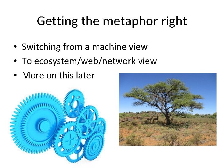 Getting the metaphor right • Switching from a machine view • To ecosystem/web/network view