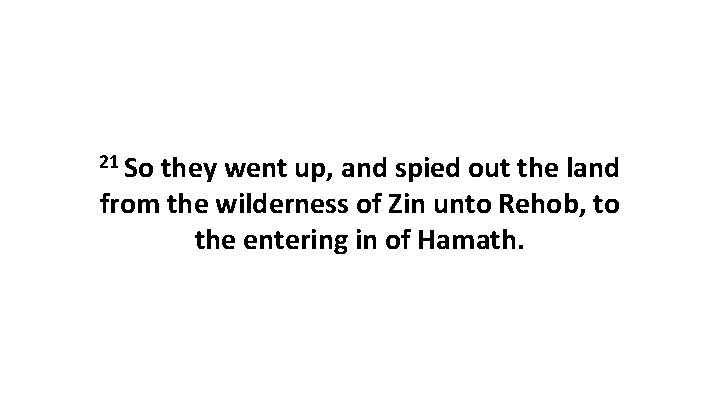 21 So they went up, and spied out the land from the wilderness of
