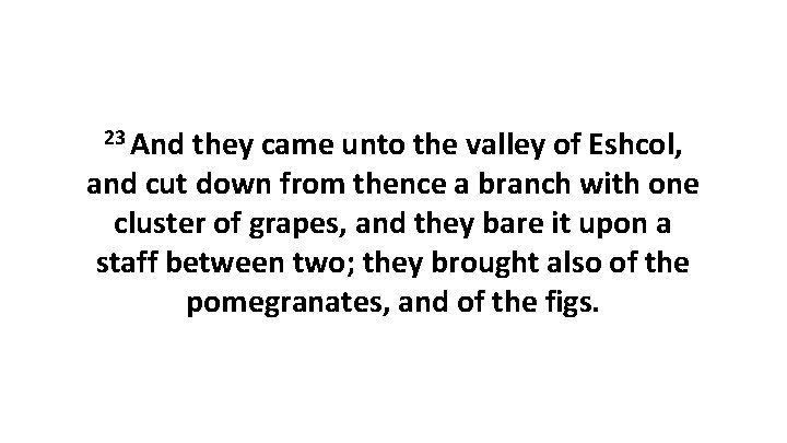 23 And they came unto the valley of Eshcol, and cut down from thence