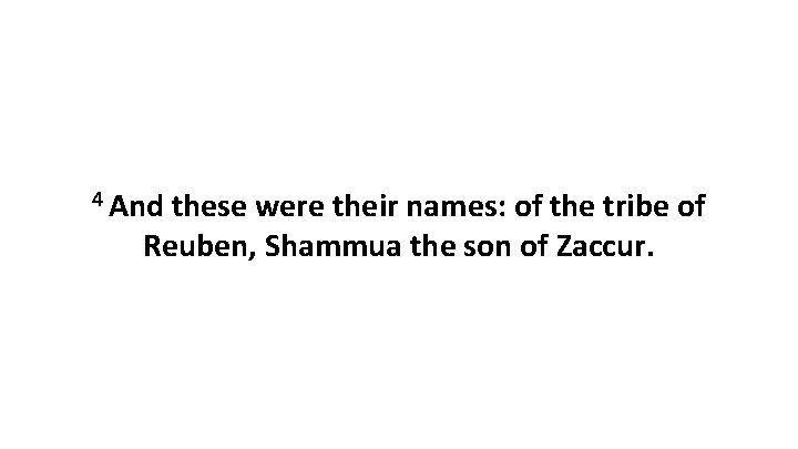 4 And these were their names: of the tribe of Reuben, Shammua the son