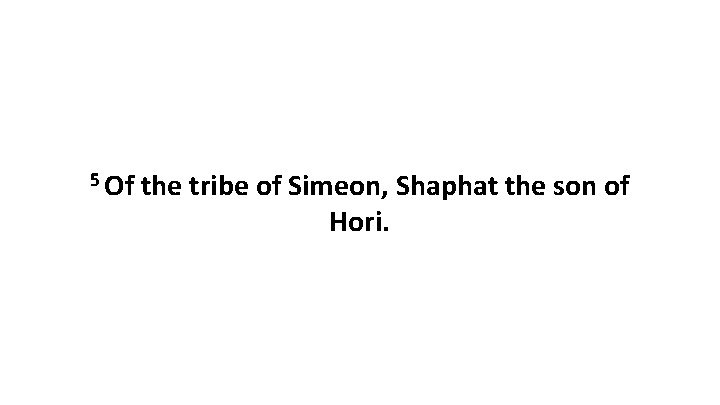 5 Of the tribe of Simeon, Shaphat the son of Hori. 