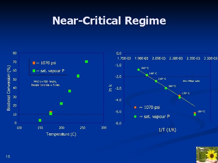 Near-Critical Regime 260° C 240° C 220° C 40: 1 Molar ratio 200° C
