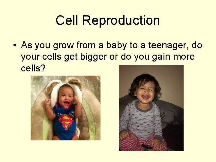 Cell Reproduction • As you grow from a baby to a teenager, do your