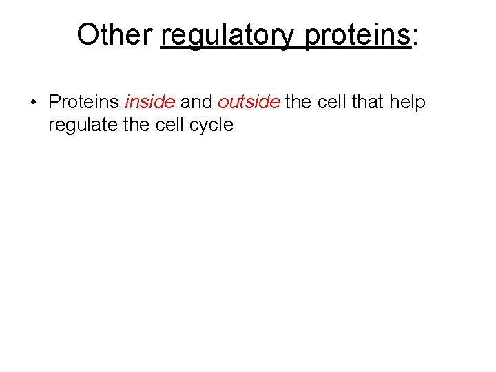 Other regulatory proteins: • Proteins inside and outside the cell that help regulate the