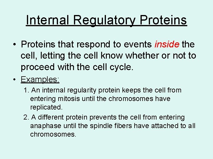 Internal Regulatory Proteins • Proteins that respond to events inside the cell, letting the
