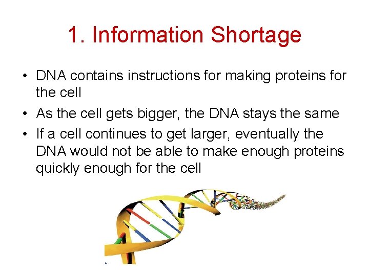 1. Information Shortage • DNA contains instructions for making proteins for the cell •