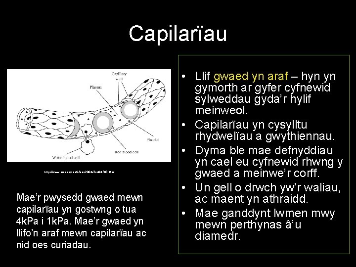 Capilarïau http: //www. moosey. net/June 2004/Jun 04 F 08. htm Mae’r pwysedd gwaed mewn