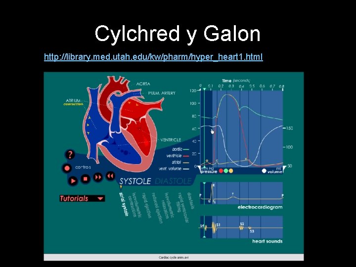 Cylchred y Galon http: //library. med. utah. edu/kw/pharm/hyper_heart 1. html 