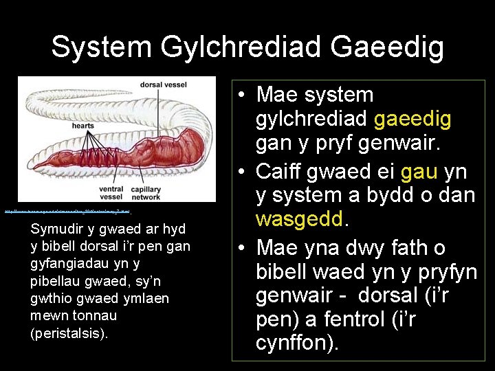 System Gylchrediad Gaeedig . http: //www. biosci. uga. edu/almanac/bio_104/notes/may_7. html Symudir y gwaed ar