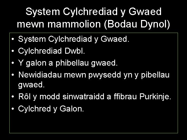 System Cylchrediad y Gwaed mewn mammolion (Bodau Dynol) • • System Cylchrediad y Gwaed.