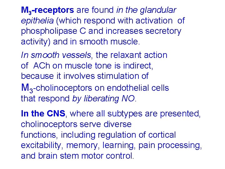 M 3 -receptors are found in the glandular epithelia (which respond with activation of