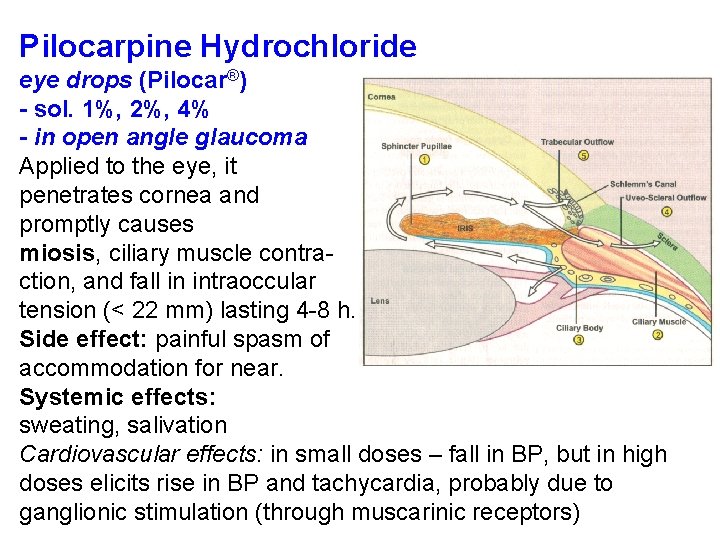 Pilocarpine Hydrochloride eye drops (Pilocar®) - sol. 1%, 2%, 4% - in open angle