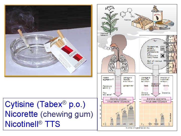 Cytisine (Tabex® p. o. ) Nicorette (chewing gum) Nicotinell® TTS 