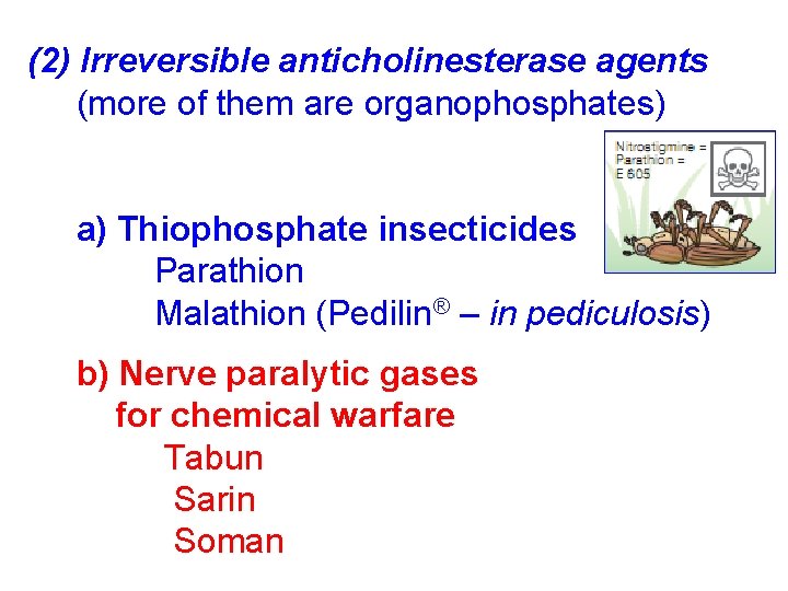 (2) Irreversible anticholinesterase agents (more of them are organophosphates) a) Thiophosphate insecticides Parathion Malathion