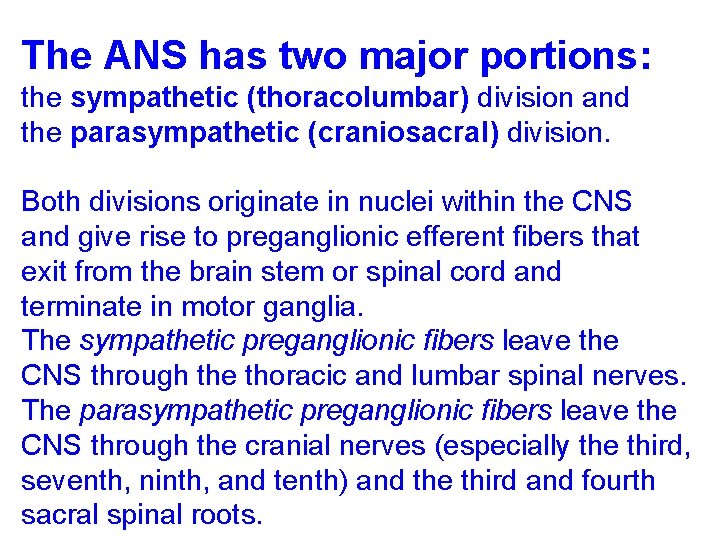 The ANS has two major portions: the sympathetic (thoracolumbar) division and the parasympathetic (craniosacral)