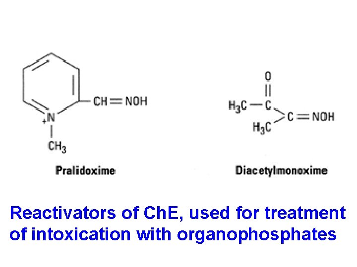 Reactivators of Ch. E, used for treatment of intoxication with organophosphates 