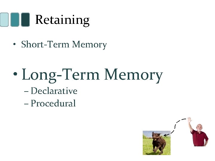 Retaining • Short-Term Memory • Long-Term Memory – Declarative – Procedural 