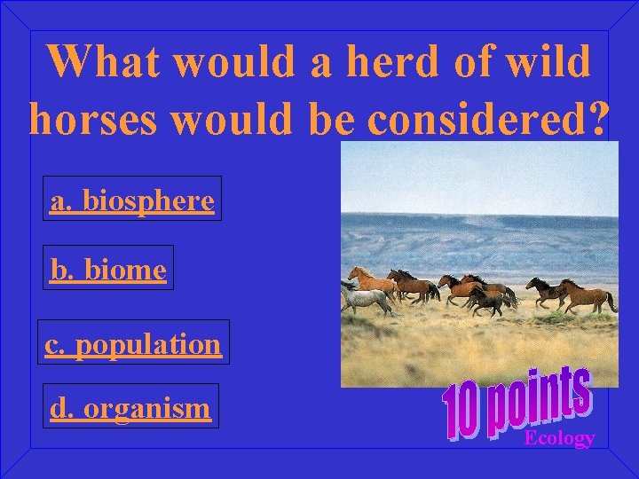 What would a herd of wild horses would be considered? a. biosphere b. biome