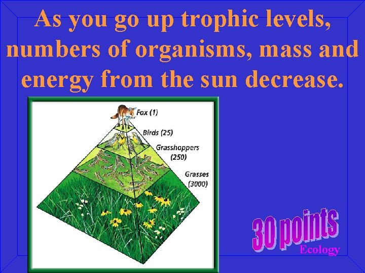 As you go up trophic levels, numbers of organisms, mass and energy from the