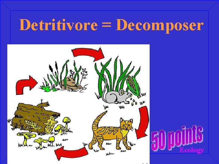 Detritivore = Decomposer Ecology 