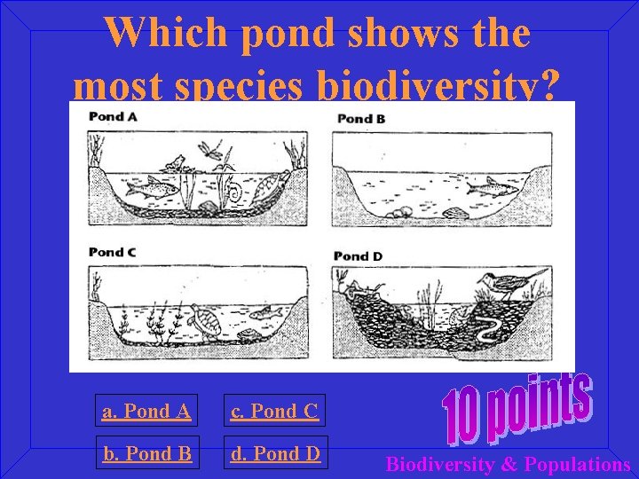 Which pond shows the most species biodiversity? a. Pond A c. Pond C b.