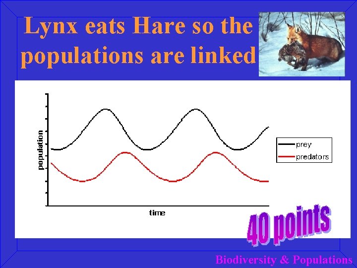 Lynx eats Hare so the populations are linked Biodiversity & Populations 