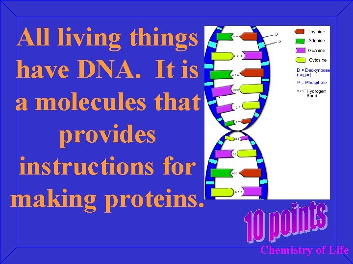 All living things have DNA. It is a molecules that provides instructions for making