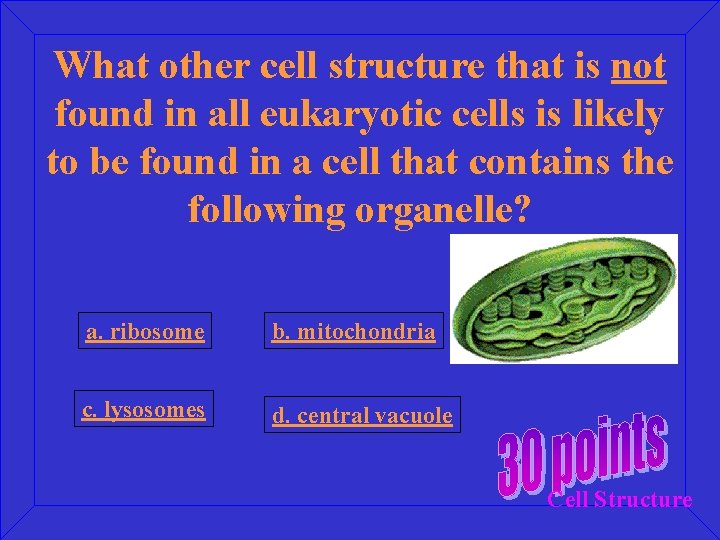 What other cell structure that is not found in all eukaryotic cells is likely