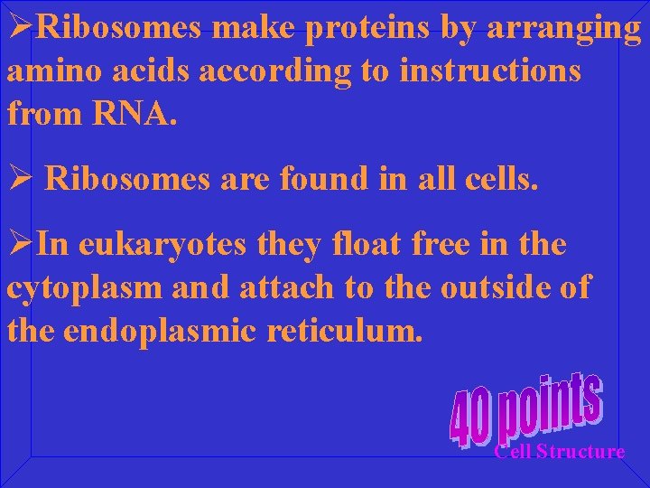 ØRibosomes make proteins by arranging amino acids according to instructions from RNA. Ø Ribosomes