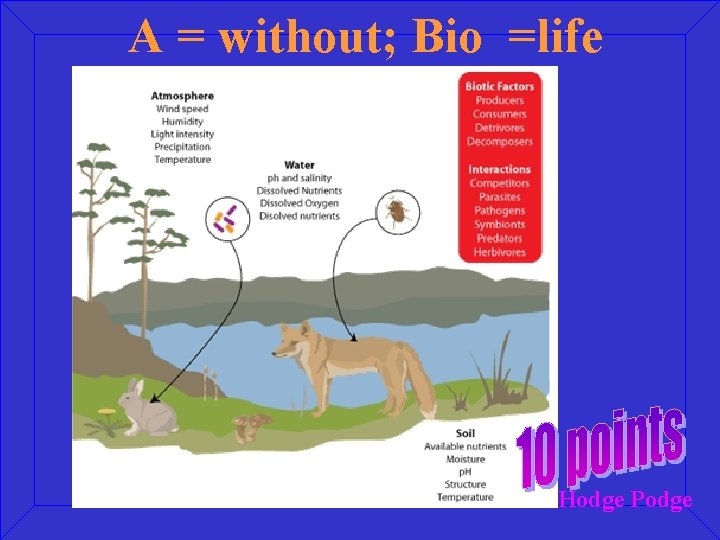 A = without; Bio =life Hodge Podge 