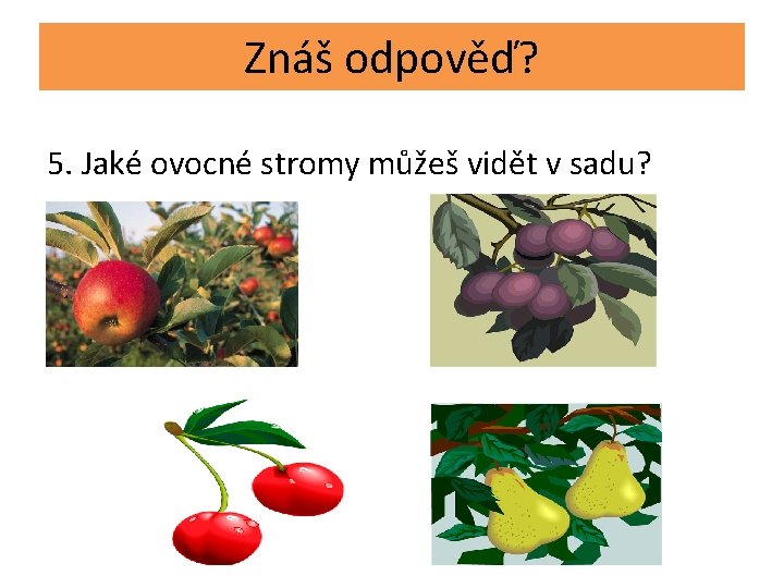 Znáš odpověď? 5. Jaké ovocné stromy můžeš vidět v sadu? 