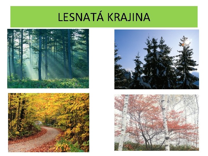 LESNATÁ KRAJINA 