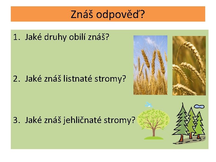 Znáš odpověď? 1. Jaké druhy obilí znáš? 2. Jaké znáš listnaté stromy? 3. Jaké