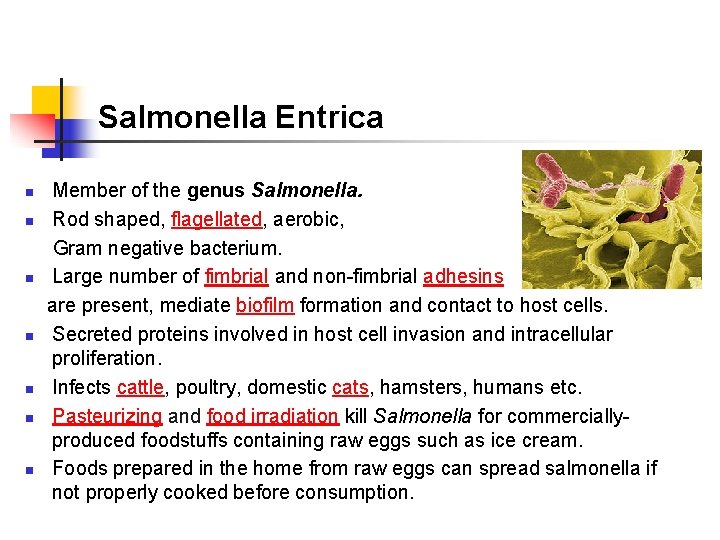 Salmonella Entrica n n n n Member of the genus Salmonella. Rod shaped, flagellated,