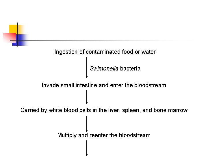 Ingestion of contaminated food or water Salmonella bacteria Invade small intestine and enter the