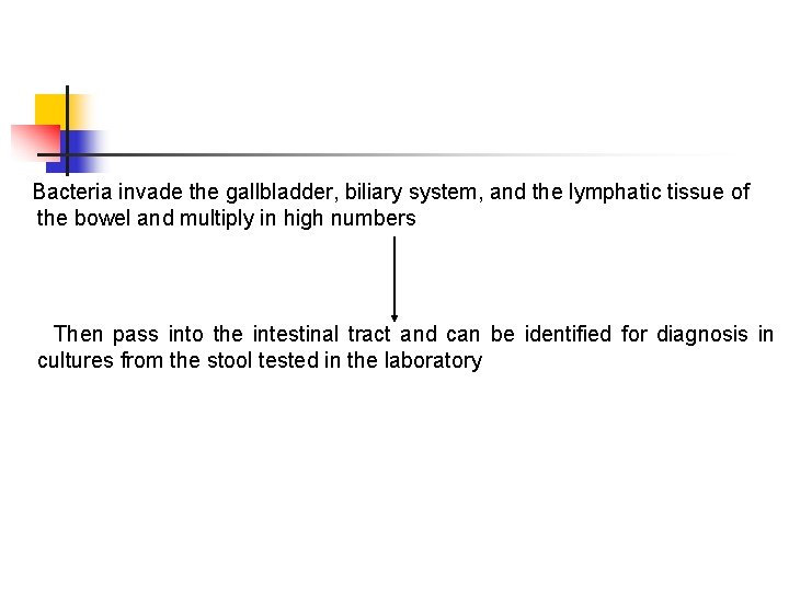 Bacteria invade the gallbladder, biliary system, and the lymphatic tissue of the bowel and