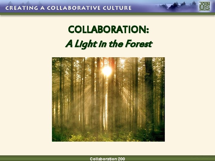 COLLABORATION: A Light in the Forest Collaboration 200 