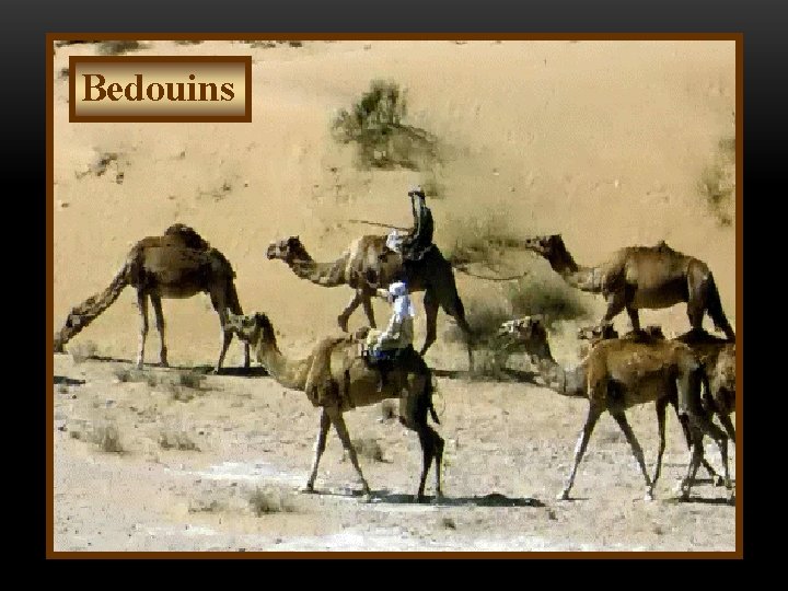 Bedouins 